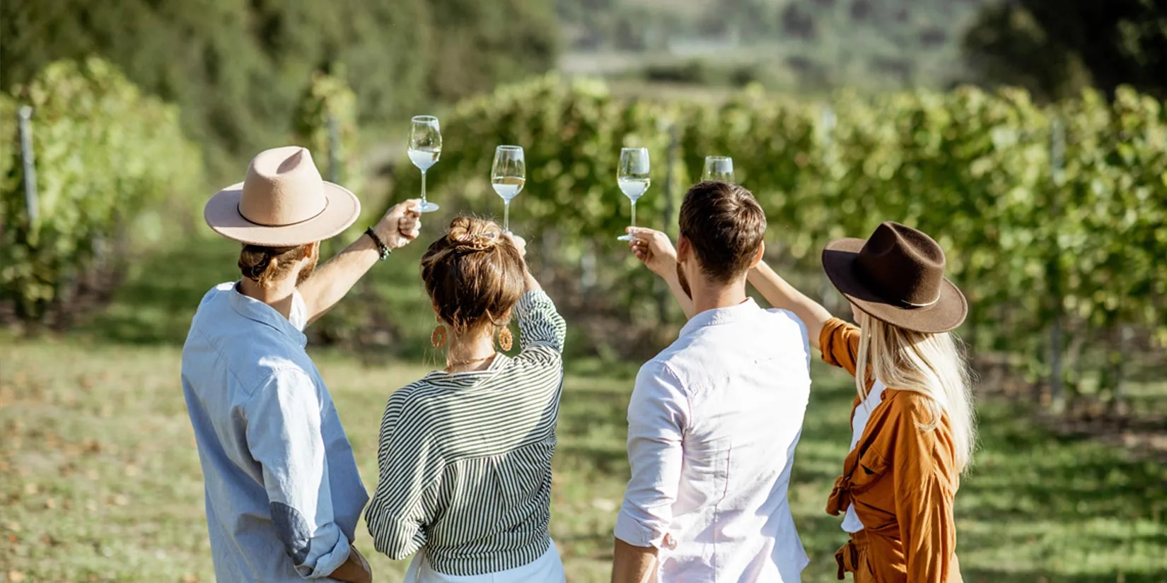Happy friends cheering with red wine at countryside summer event.