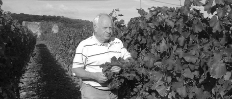 DOMAINE FILLIATREAU WINERY PROFILE PHOTO